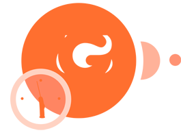 Improve onboarding processes with Gamfi integrations. Automate and centralize data for efficient operations and employee engagement.