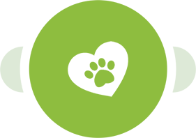 Forbind Petoffice med yndlingsapps via Make for optimal workflow og automatisering. Spar tid og øg effektiviteten.